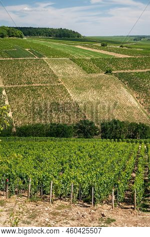 Aerial View On Chablis Grand Cru Appellation Vineyards With Grapes Growing On Limestone And Marl Soi