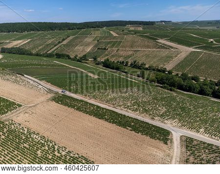 Aerial View On Chablis Grand Cru Appellation Vineyards With Grapes Growing On Limestone And Marl Soi