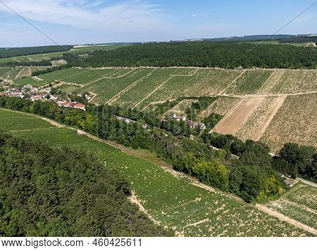 Aerial View On Chablis Grand Cru Appellation Vineyards With Grapes Growing On Limestone And Marl Soi