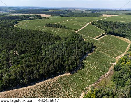 Aerial View On Chablis Grand Cru Appellation Vineyards With Grapes Growing On Limestone And Marl Soi