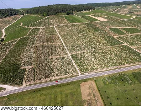 Aerial View On Chablis Grand Cru Appellation Vineyards With Grapes Growing On Limestone And Marl Soi