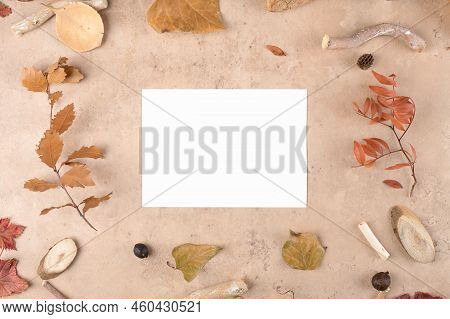 Autumn Blank Card Mockup For Thanksgiving Day On Natural Beige Background. Holidays Preparation And 