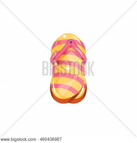 Isolated Sandalier Shine Summer Holidays Vector Illustration