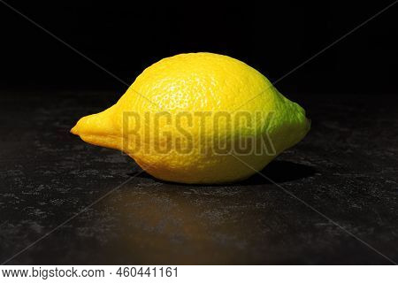 Etrog Or Citron On Black Background. Festival Of Sukkot. Symbol Of Torah-commanded Holiday. Closeup