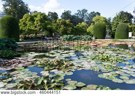 Stuttgart, Wilhelma, Germany - August 25, 2022: Tropical Water Lilies In The Wilhelma Zoological And