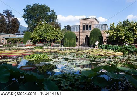 Stuttgart, Wilhelma, Germany - August 25, 2022: Tropical Water Lilies In The Wilhelma Zoological And