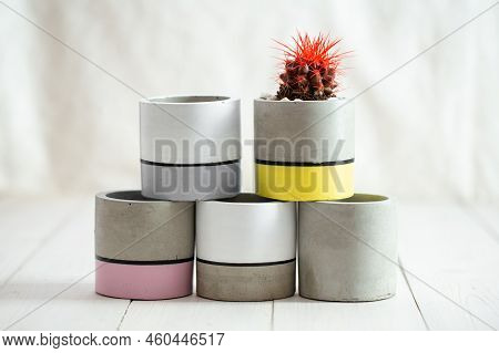 Cactus With Red Needles In A Concrete Pot On A Textile Background. Concrete Cache-pot. Fashion Trend