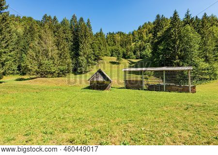 Old Traditional Wooden Barn And Vertical Hay Rack (kozolec - Hayrack)on A Green Meadow With Pine For