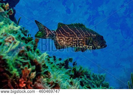 Digitally Created Watercolor Painting Of A Tiger Grouper Swimming Over Coral