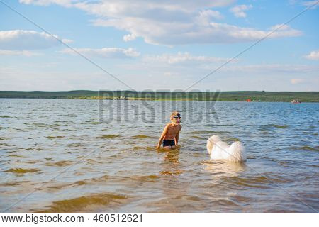 Samoyed Swimming In The River With A Boy