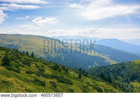View In To The Mountain Valley. Beautiful Summer Landscape Of Trascarpathia With Forested Hills And 