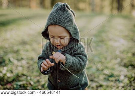 Portrait Of Cute Little Boy Wearing Knitted Hoodie In Nautre, Autumn Concept.