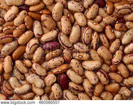 Pinto Brown Beans Close-up. Raw Hard Beans With Red Spots Background. Small Beans Top View.
