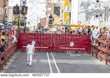 Running Of The Bulls. Bulls. Bull Runs. Encierro That Is Celebrated In The Town Of San Sebastian De 