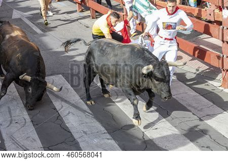 Running Of The Bulls. Bulls. Bull Runs. Encierro That Is Celebrated In The Town Of San Sebastian De 