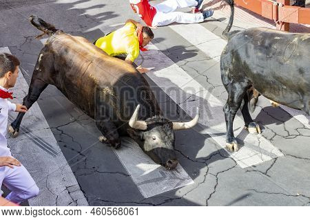 Running Of The Bulls. Bulls. Bull Runs. Encierro That Is Celebrated In The Town Of San Sebastian De 