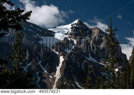 View On The Mount Fairview While Hicking Around Lake Louise In Canada