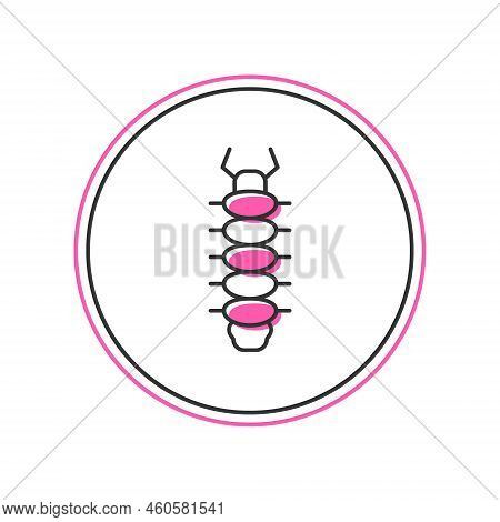 Filled Outline Centipede Insect Icon Isolated On White Background. Vector