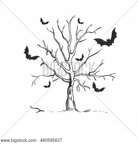 Halloween Sketch Concept With Dead Leafless Dried Tree And Scary Bats On White Background Isolated V