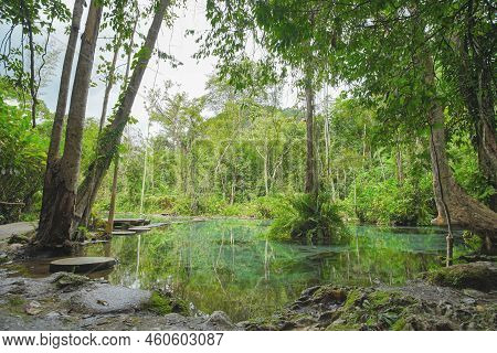 Ban Nam Rad Forested Watersheds In Surat Thani, Thailand.