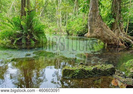 Ban Nam Rad Forested Watersheds In Surat Thani, Thailand.