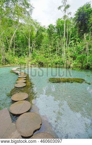 Ban Nam Rad Forested Watersheds In Surat Thani, Thailand.