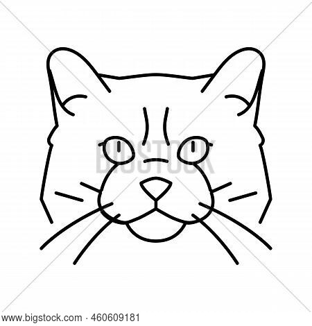 Ragdoll Cat Cute Pet Line Icon Vector. Ragdoll Cat Cute Pet Sign. Isolated Contour Symbol Black Illu