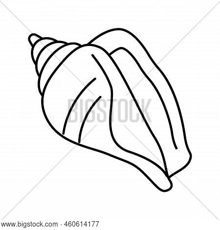 Strombus Sea Shell Beach Line Icon Vector. Strombus Sea Shell Beach Sign. Isolated Contour Symbol Bl