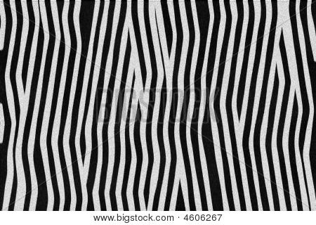 Zebra huid