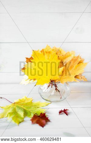 A Bouquet Of Yellow Autumn Maple Leaves In A Vase Against A White Tree Background. Autumn Compositio