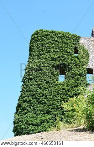 Ivy Covered Walls Of The Castle Ruin In Ulmen