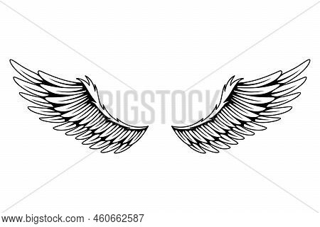 Vintage Heraldic Wings Sketch. Monochrome Stylized Birds Wings. Hand Drawn Contoured Stiker Wing In 