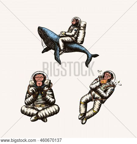 Monkey Astronaut With Whale, Guitar, Skateboard And Moon. Chimpanzee Spaceman Cosmonaut Characters S