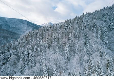 Aerial Mountain Landscape Winter Natural Scenery In Russia, Adygea, Guzeripl, Plateau Lago-naki.