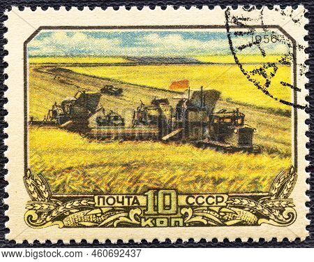 Ussr - Circa 1956: A Postage Stamp Printed In The Ussr Shows Harvesting Wheat In Collective Farm Pea
