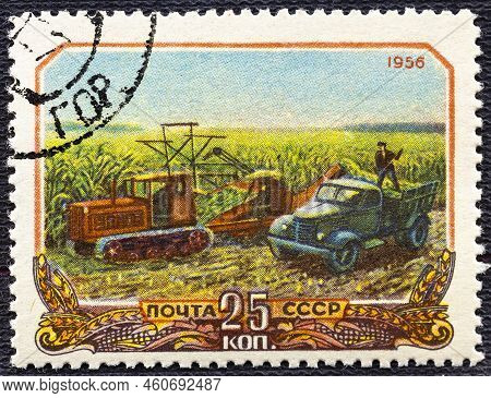 Ussr - Circa 1956: A Postage Stamp Printed In The Ussr Shows Harvesting Corn In Collective Farm Peas