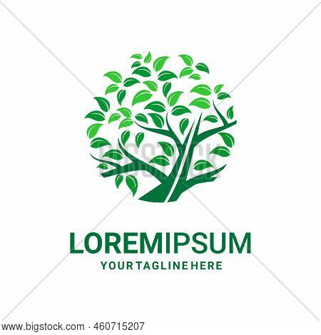 Shady Tree Logo Vector On White Background