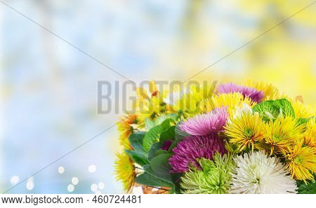 Chrisantemum Fresh Autumn Flowers Bouquet Close Up Over Defocused Fall Background