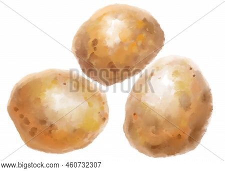 Boiled Grill Potatoes Watercolor Painting Illustration