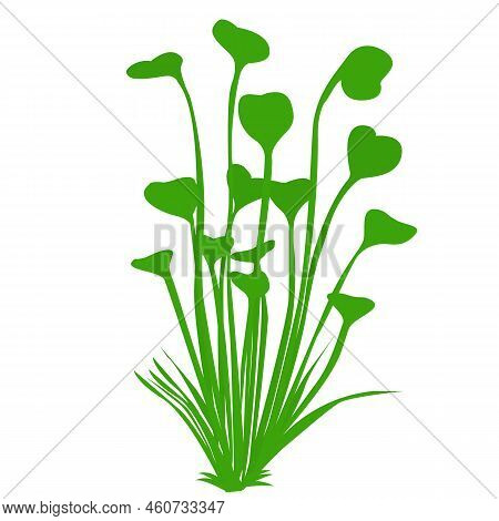 Cute Aquarium Plants. Vector Illustration In Cartoon Style