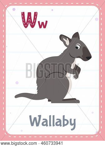 Alphabet Printable Flashcard With Letter W. Cartoon Cute Wallaby Animal And English Word On Flash Ca