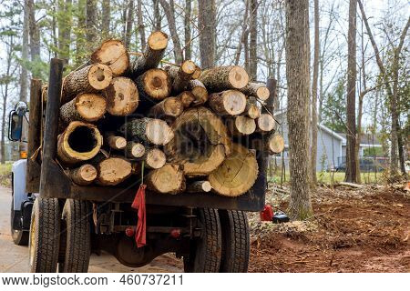 A Huge Powerful Truck With Platforms, Carrying Bunch Of Large Logs