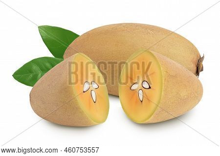 Sapodilla Isolated On White Background With Full Depth Of Field