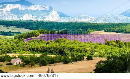 Provence Landscape With Lavender Fields, France