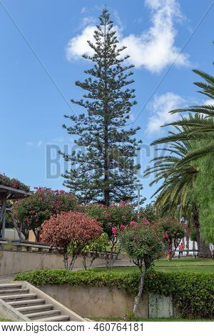 Vila Baleira, Portugal - August 26, 2021: These Are The Infant Gardens With Tropical And Rare Plants
