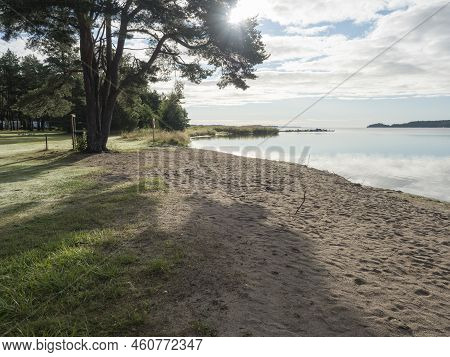 Sand Beach At Strandstuvikens Camping Near Nykoping, Sweden. Shore Of Baltic Sea Bay With Pine Tree 