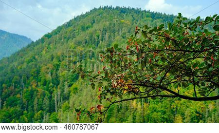 A View Of The Most Beautiful Mountains In A Panoramic Scene. View From Tomasovsky Vyhlad In Slovak P