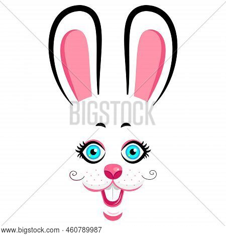 Rabbit 矢量图和照片(免费试用) | Bigstock