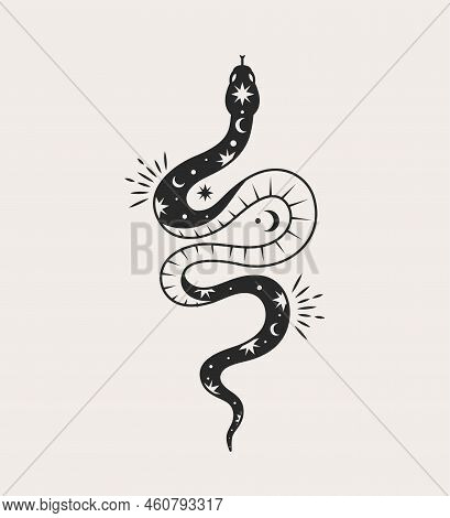 Mystical Esoteric Snake. Symbol Of Occultism And Religion, Sacred Rites And Sacrifice. Reptile And A
