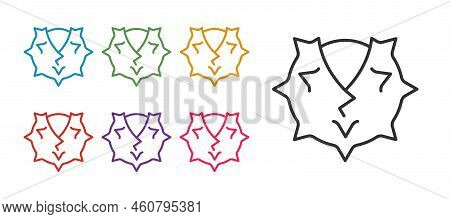Set Line Chestnut Icon Isolated On White Background. Barbed And Strong Chestnut. Set Icons Colorful.